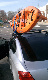 abraves4410's Avatar