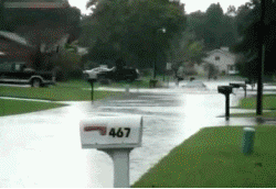 Name:  2ivfryh.gif
Views: 42
Size:  2.60 MB