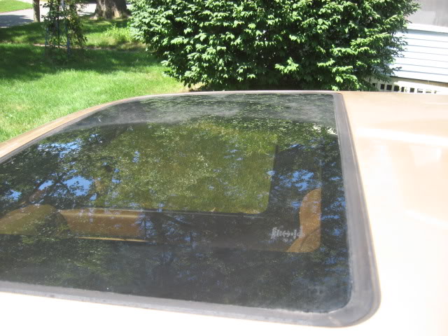 Name:  IMG_1795.jpg
Views: 31
Size:  80.9 KB