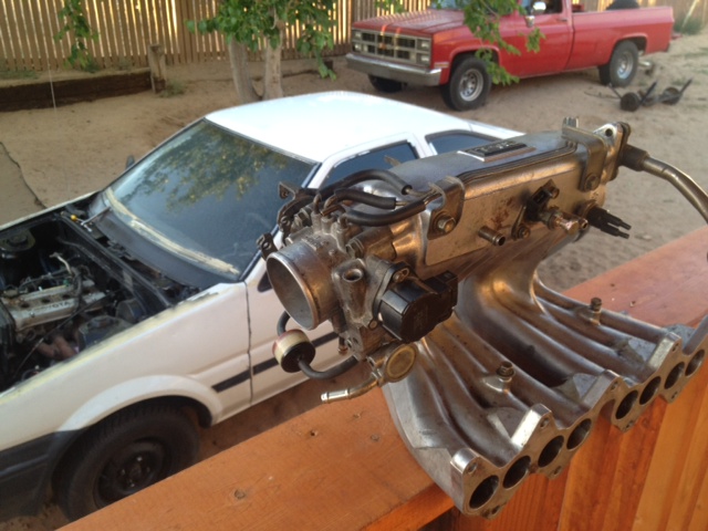 Name: photo-53.jpg
Views: 241
Size: 123.7 KB