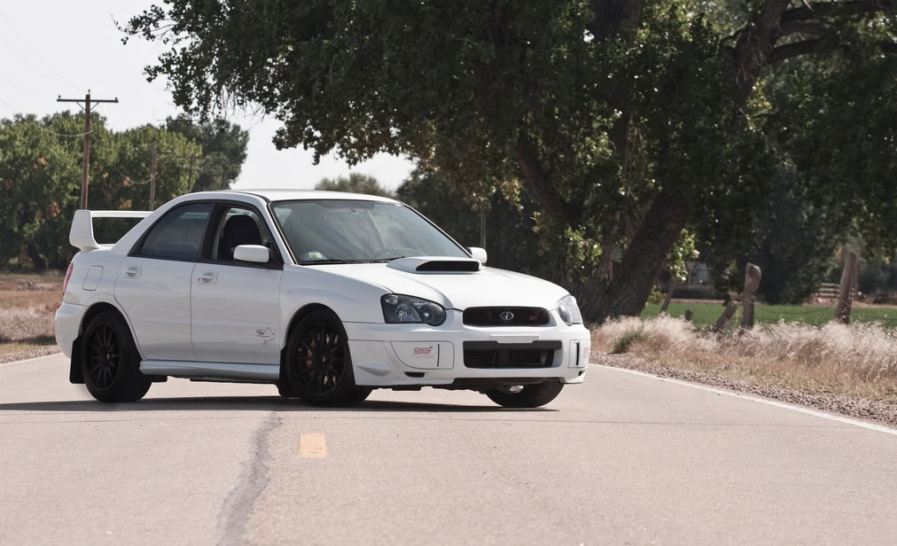 Name:  piratemeetpicture.jpg
Views: 40
Size:  124.0 KB