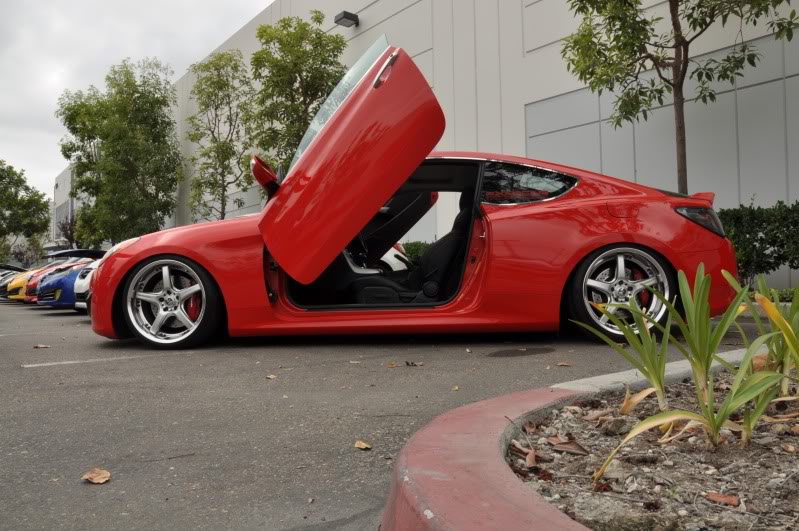 Name:  DSC_1313.jpg
Views: 29
Size:  102.9 KB