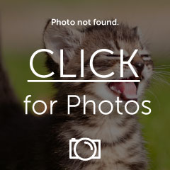 Name:  1365039436909_zps0d045076.jpg
Views: 21
Size:  14.0 KB