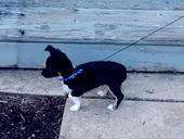 Name:  m_70f8524b3b3c25e091382df8bfa9ee59.jpg
Views: 18
Size:  4.9 KB