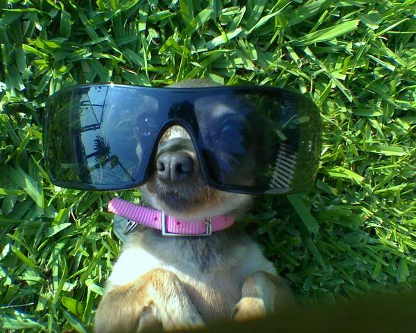 Name:  l_4e1b97232ba3374ff4d012f23d6b1983.jpg
Views: 17
Size:  67.1 KB