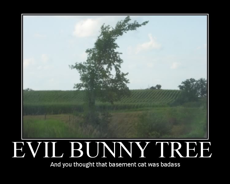 Name: evilbunnytree.jpg
Views: 297
Size: 44.0 KB