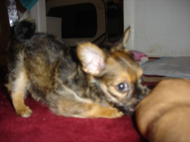 Name:  DSC03837.jpg
Views: 19
Size:  28.5 KB