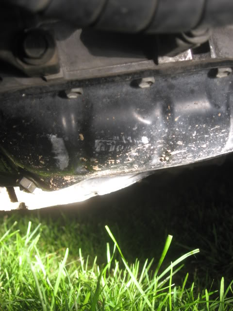 Name:  IMG_1686.jpg
Views: 30
Size:  58.3 KB