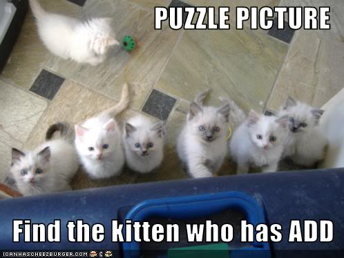 Name:  funny-pictures-one-kitten-has-add.jpg
Views: 36
Size:  30.3 KB