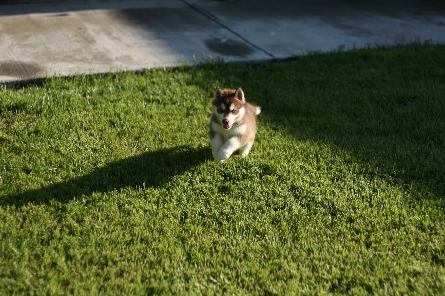 Name: IMG_9669.jpg
Views: 18
Size: 473.1 KB