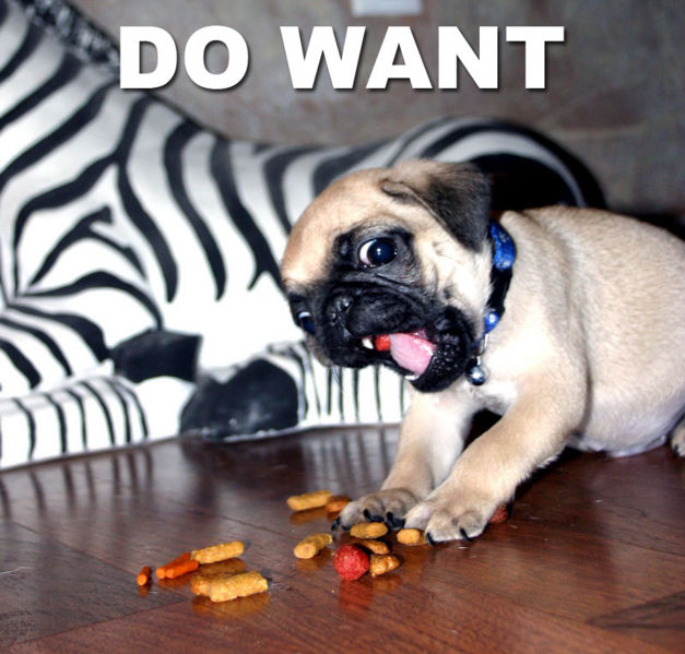 Name:  DoWantPuppeh.png
Views: 17
Size:  786.5 KB
