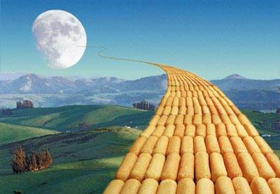 Name:  twinkies.jpg
Views: 16
Size:  17.1 KB