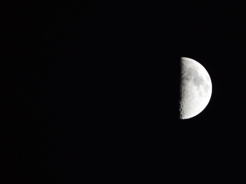 Name:  moonxmaseve.jpg
Views: 24
Size:  27.8 KB
