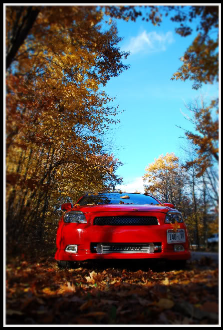 Name:  58087-1.jpg
Views: 18
Size:  94.5 KB