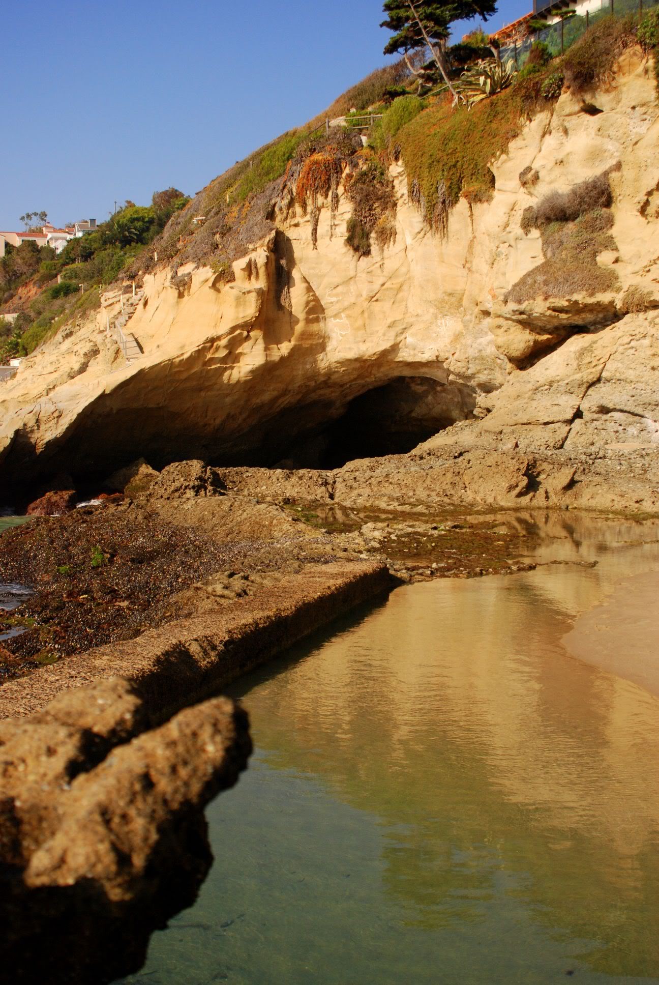 Name:  image_015.jpg
Views: 37
Size:  407.9 KB