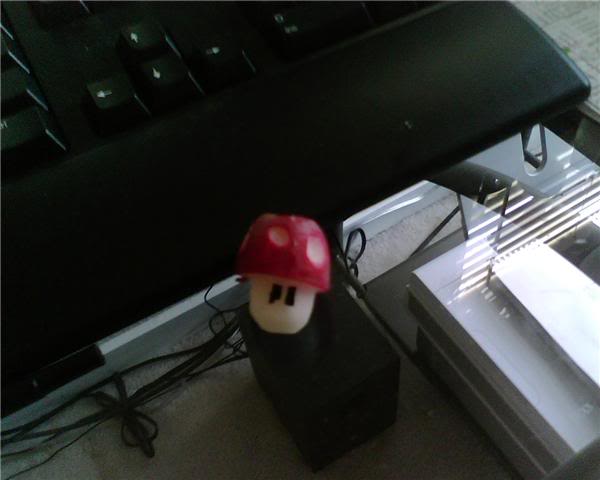 Name:  mushroom.jpg
Views: 42
Size:  24.9 KB