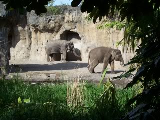 Name:  File0008898.jpg
Views: 32
Size:  29.0 KB