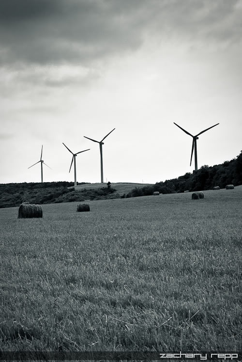 Name:  windmillsbw-1.jpg
Views: 19
Size:  91.3 KB