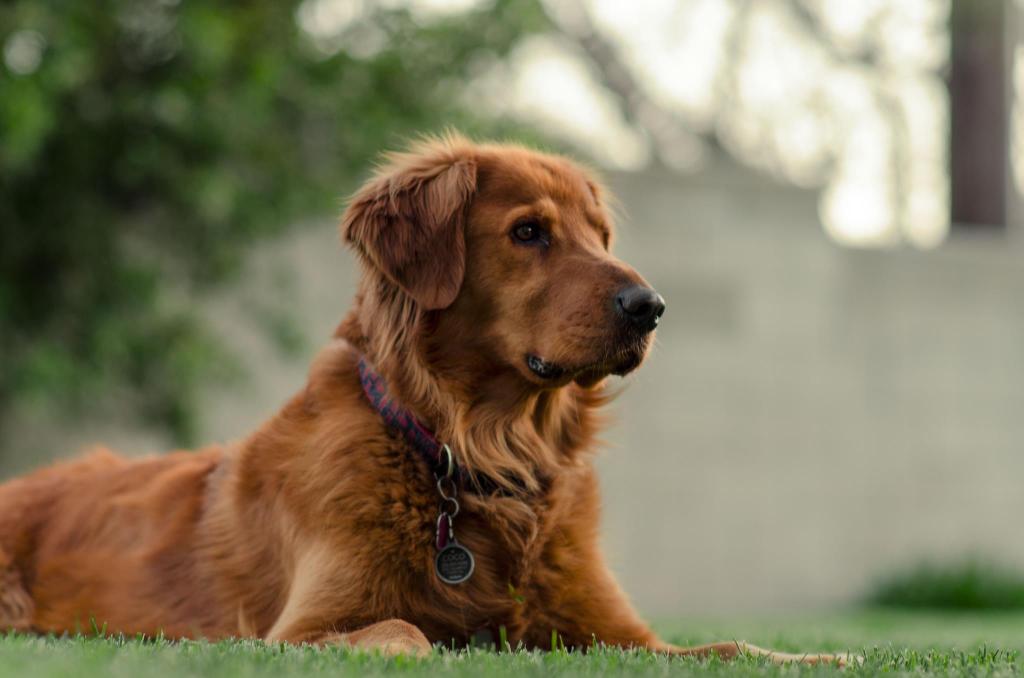 Name: 906429_4607915401728_1138046978_o_zpsee6a0d0e.jpg
Views: 65
Size: 54.2 KB