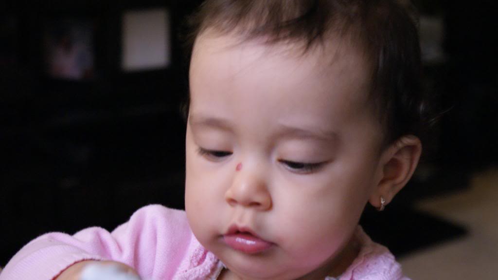Name: DSC00141.jpg
Views: 25
Size: 31.8 KB