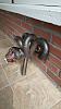 Descendant Racing manifold *SOLD*-00y0y_dh1jhtuikc3_1200x900.jpg