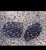 Grill Craft fog light grills-image.jpg