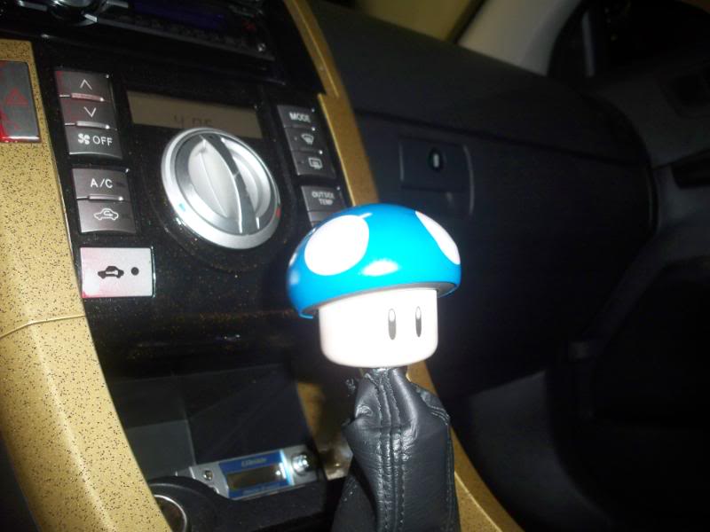 Name:  picture043.jpg
Views: 14
Size:  50.8 KB