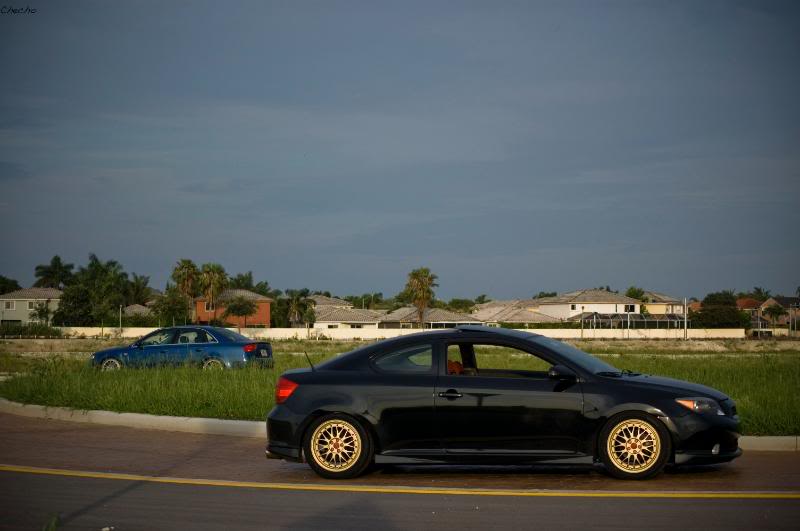 Name:  DSC_0155a.jpg
Views: 35
Size:  39.3 KB