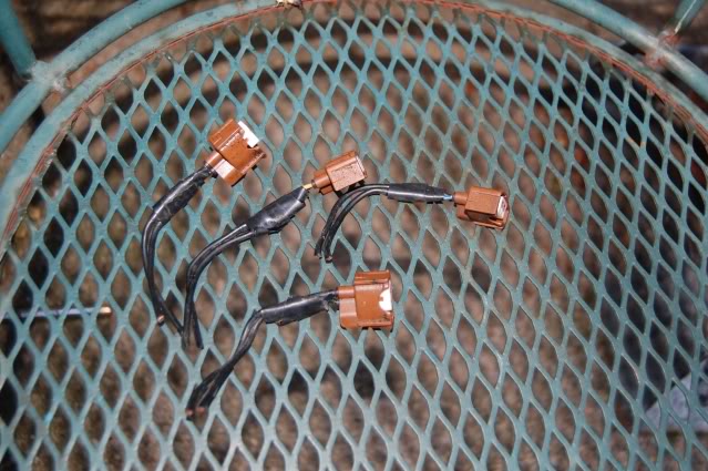 Name:  DSC_0024.jpg
Views: 14
Size:  69.3 KB