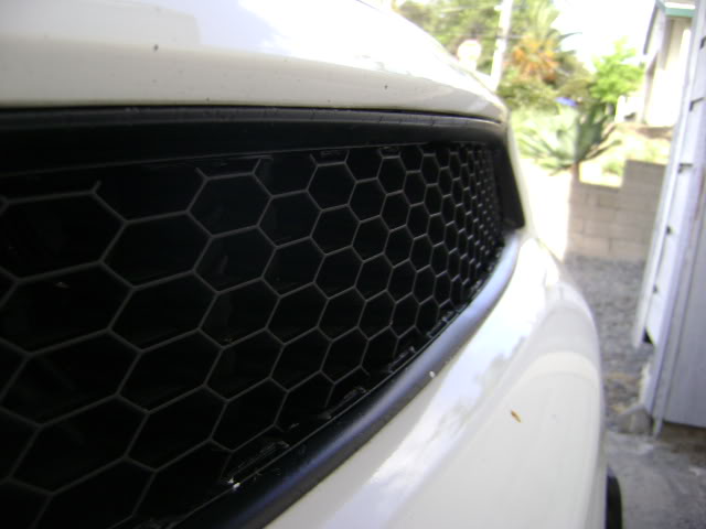 Name:  DSC01395.jpg
Views: 32
Size:  45.7 KB