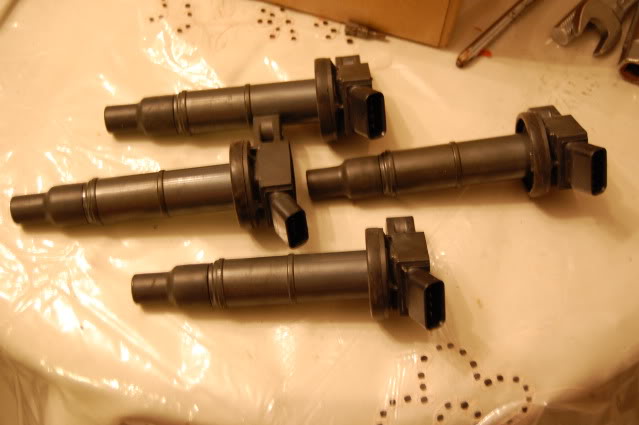 Name:  DSC_0187.jpg
Views: 41
Size:  63.8 KB