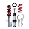 FS:Raceland Coilover-coils.jpg
