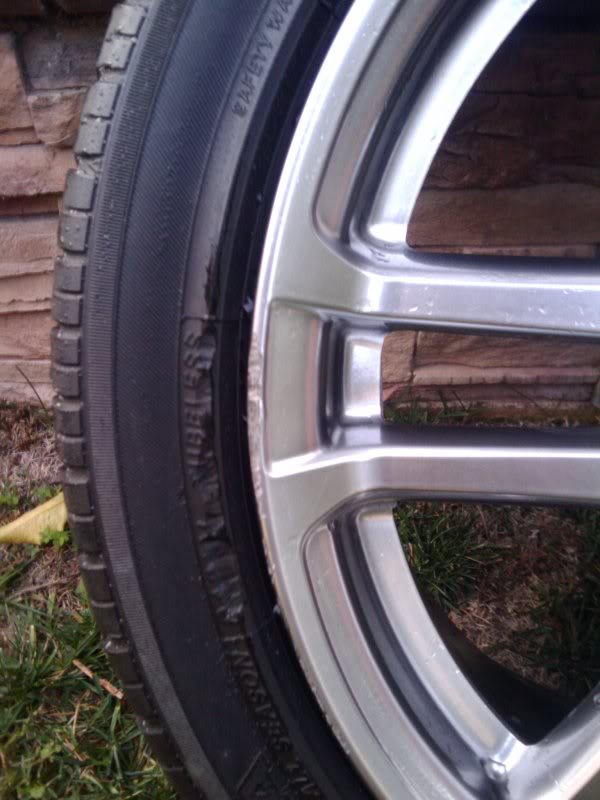 Name:  2010-01-01161426.jpg
Views: 100
Size:  62.1 KB