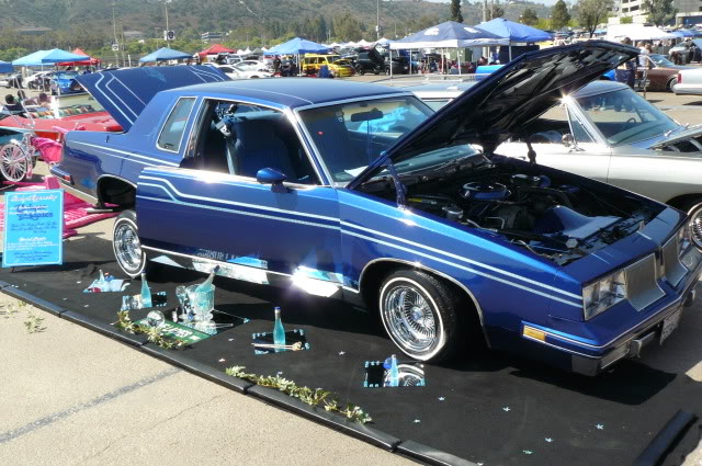 Name:  P1070824.jpg
Views: 31
Size:  115.5 KB