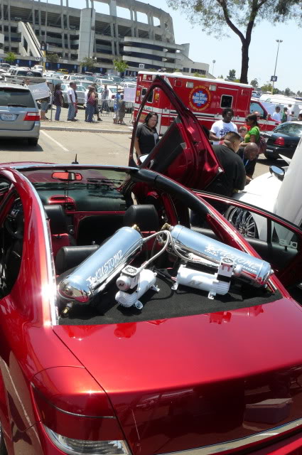 Name:  P1070889.jpg
Views: 25
Size:  76.7 KB