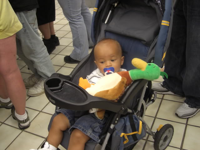 Name:  CIMG4041.jpg
Views: 25
Size:  79.4 KB