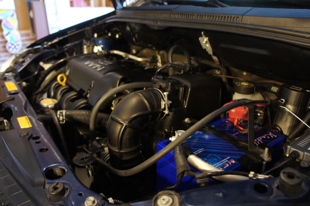 Name:  DSC00355-1.jpg
Views: 117
Size:  97.3 KB