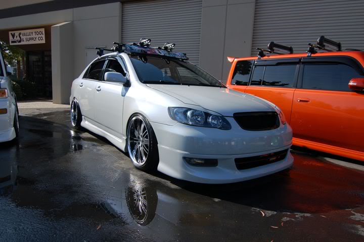 Name:  DSC_0619.jpg
Views: 44
Size:  53.5 KB