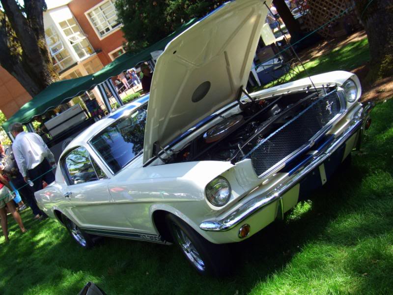 Name:  DSCF0129.jpg
Views: 19
Size:  85.7 KB