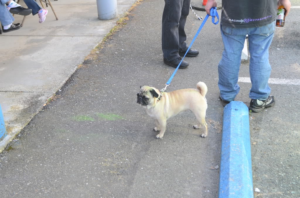 Name: DUG_4670.jpg
Views: 19
Size: 193.1 KB