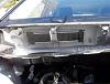 Rodent in car-100_1369-large-.jpg