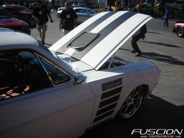 Name:  DSCN6668.jpg
Views: 19
Size:  40.7 KB