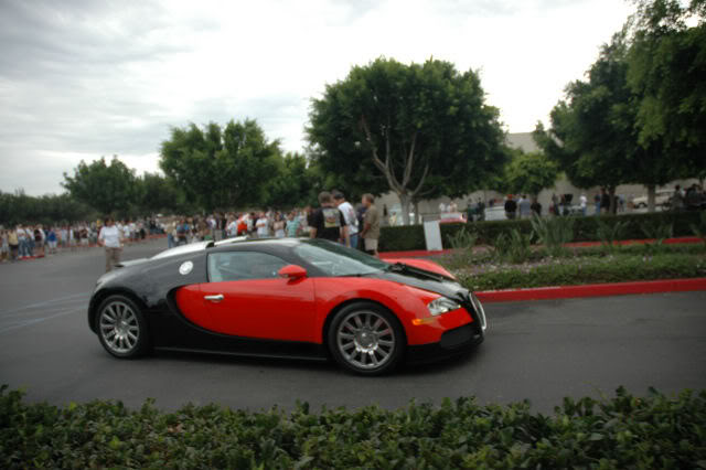 Name:  DSC_0046.jpg
Views: 9
Size:  51.8 KB