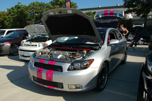 Name:  DSC_0095.jpg
Views: 58
Size:  69.5 KB