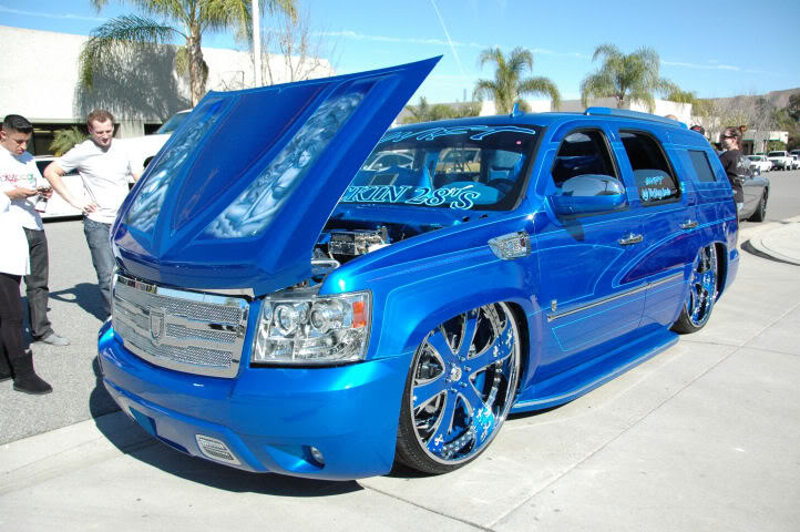 Name:  DSC_0171.jpg
Views: 13
Size:  84.5 KB