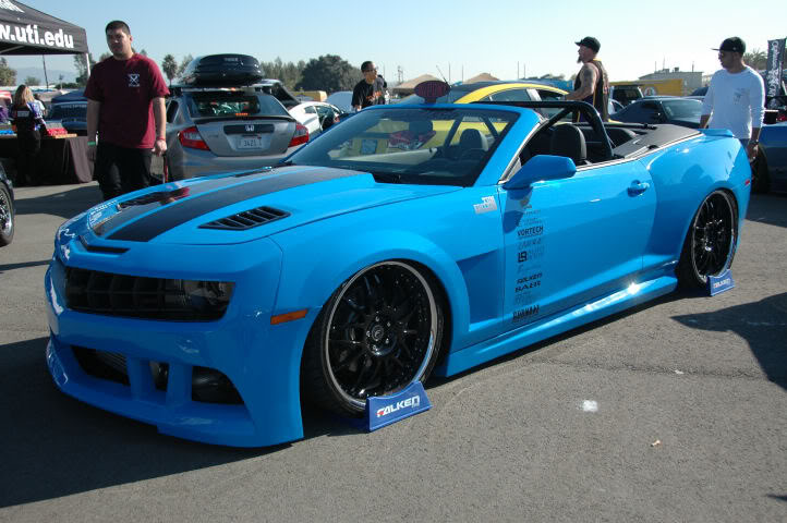 Name:  DSC_0106.jpg
Views: 21
Size:  71.5 KB