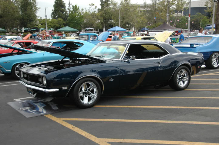 Name: DSC_0100.jpg
Views: 17
Size: 76.8 KB