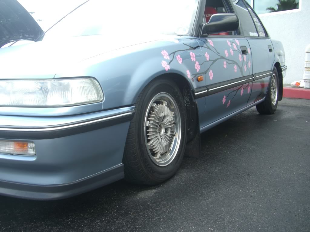 Name:  CIMG6006.jpg
Views: 19
Size:  108.8 KB