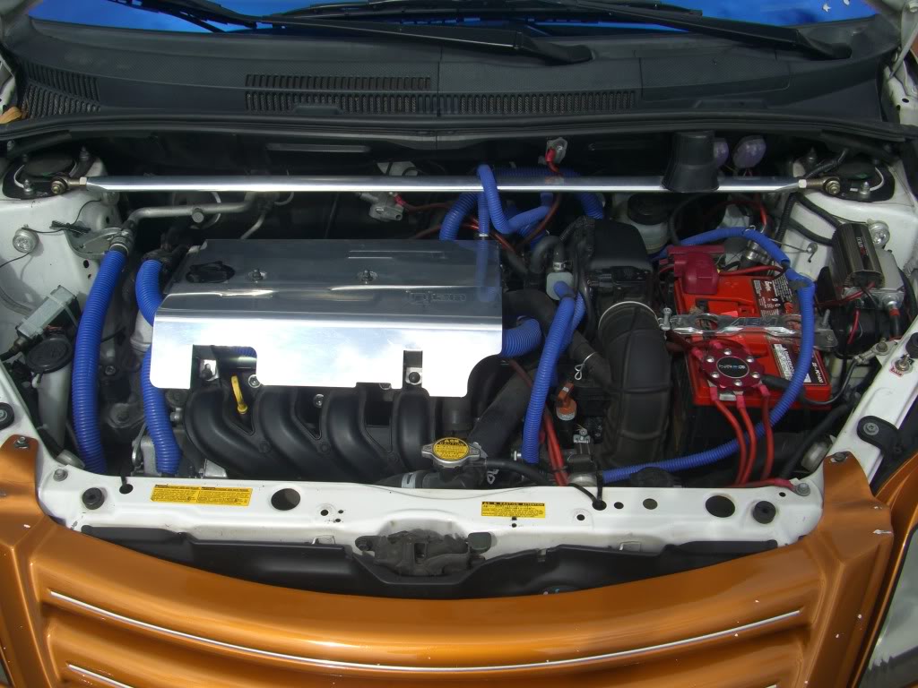 Name:  CIMG6026.jpg
Views: 23
Size:  117.5 KB