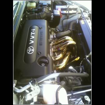 Name:  meganheaders.jpg
Views: 58
Size:  21.5 KB